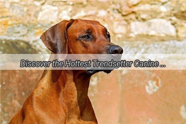 Discover the Hottest Trendsetter Canine Names from the Hipster Cartoon Dog Name Directory